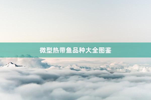 微型热带鱼品种大全图鉴