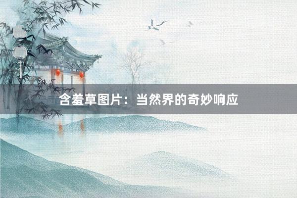 含羞草图片：当然界的奇妙响应
